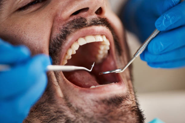 Best Emergency Orthodontic Services in Mked Tree, AR